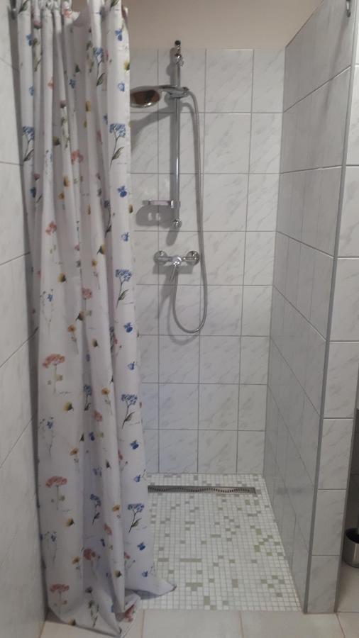 Kis Haz Apartman Zalacsany Bagian luar foto